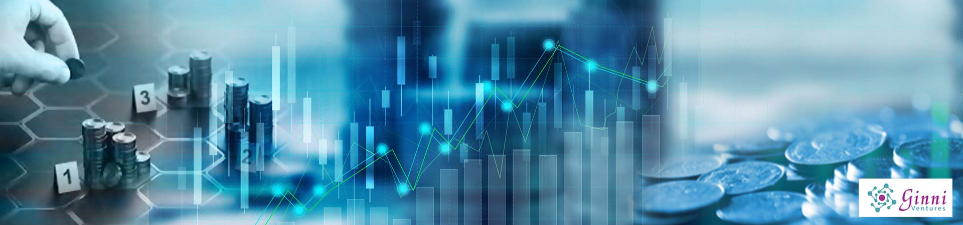 Ginni Ventures